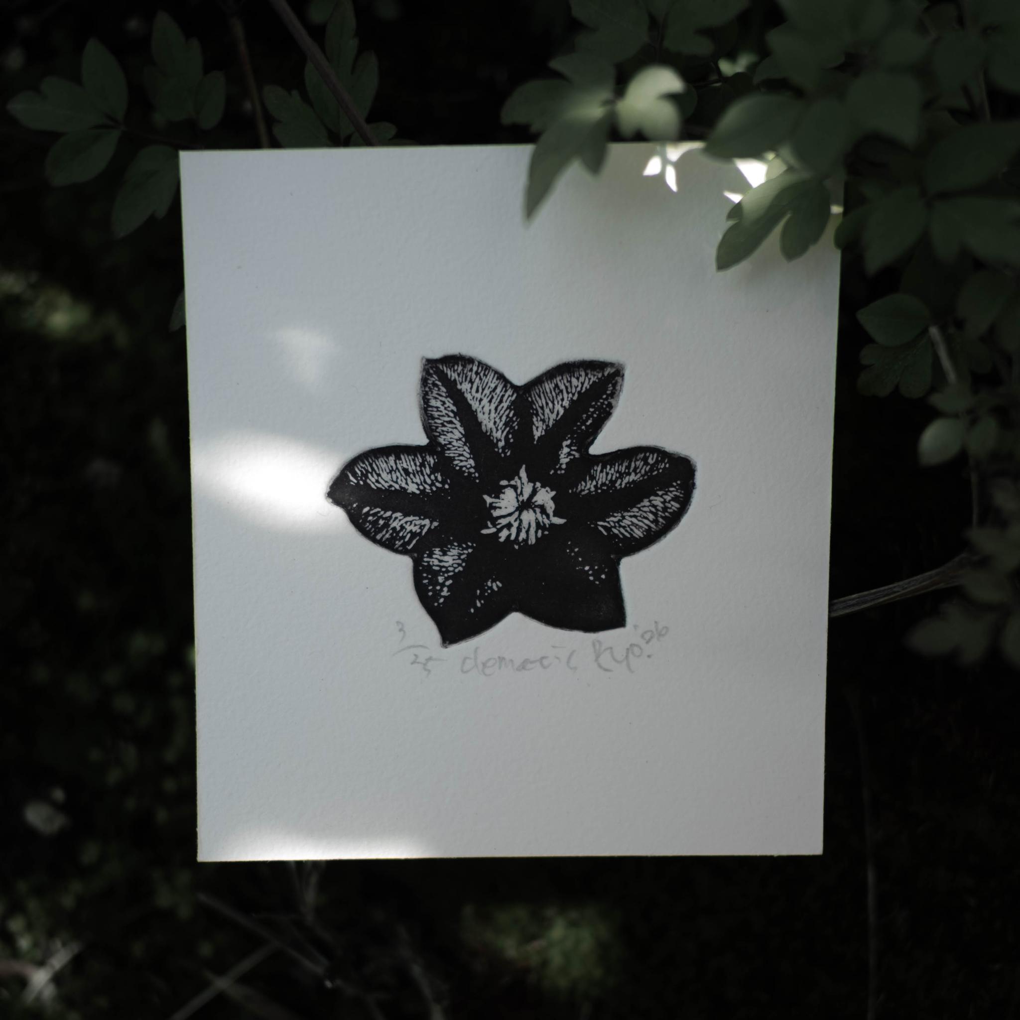 版画ゆうびん no.37 'clematis'（銅版画）