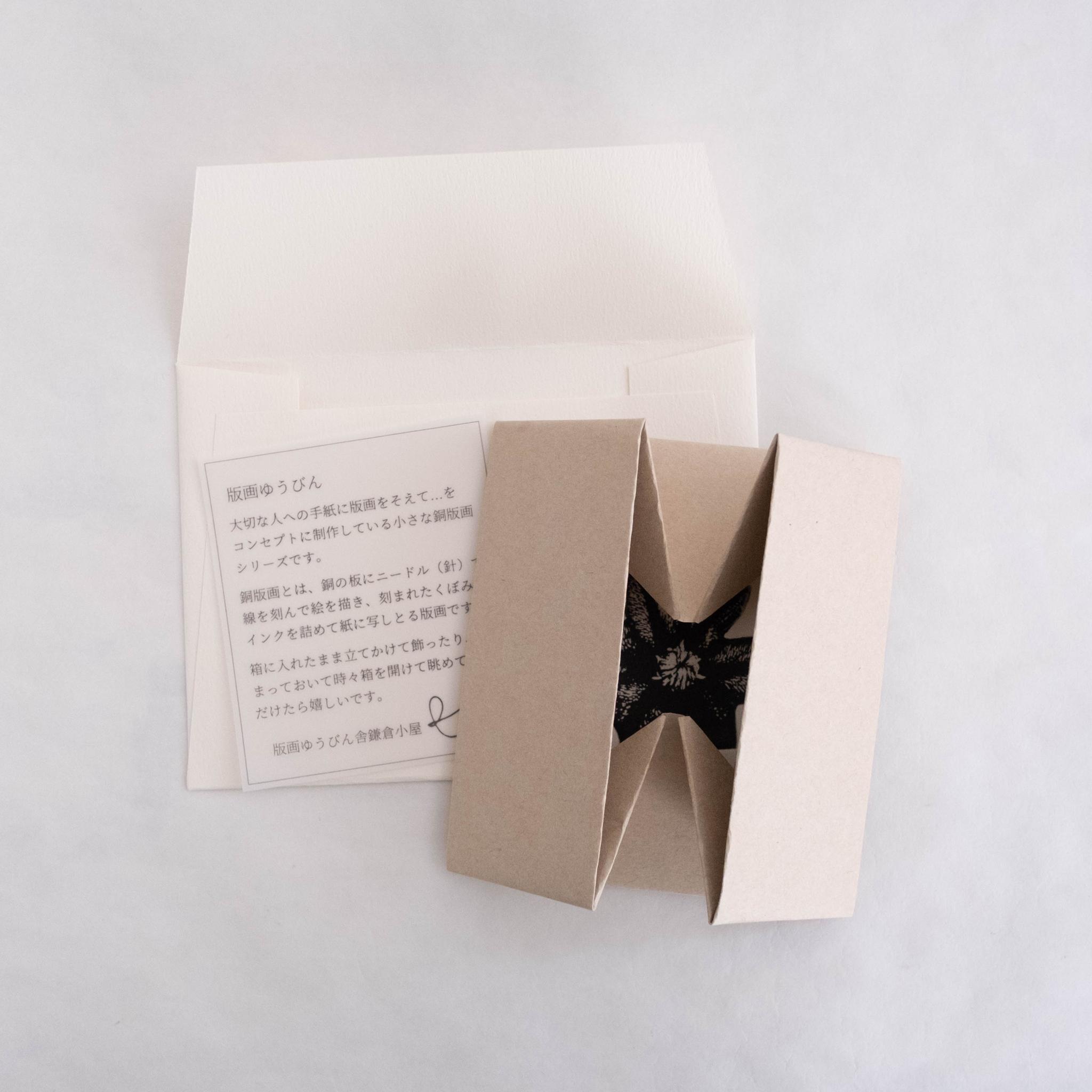 版画ゆうびん no.37 'clematis'（銅版画） | 6枚目