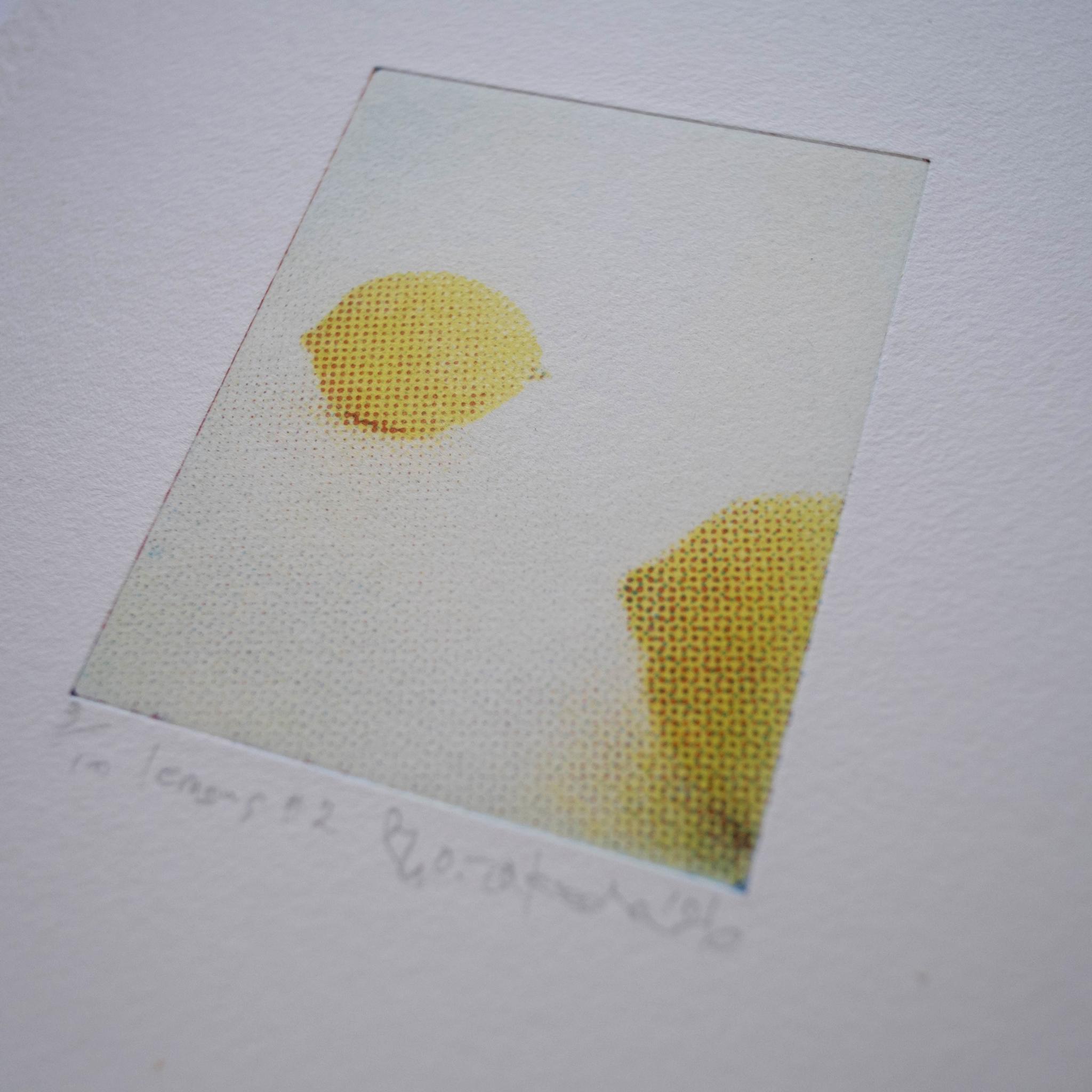 版画 "lemons #1"（額装） | 3枚目