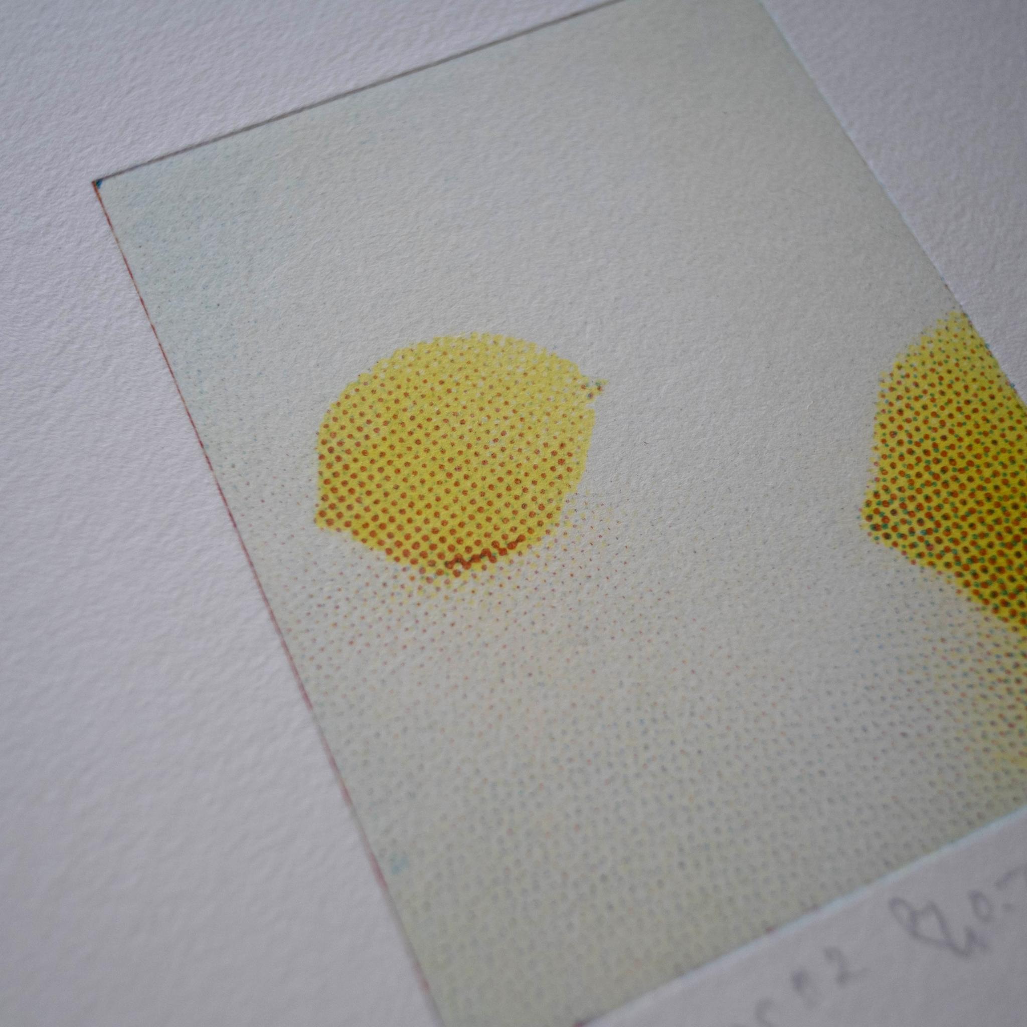 版画 "lemons #1"（額装） | 4枚目