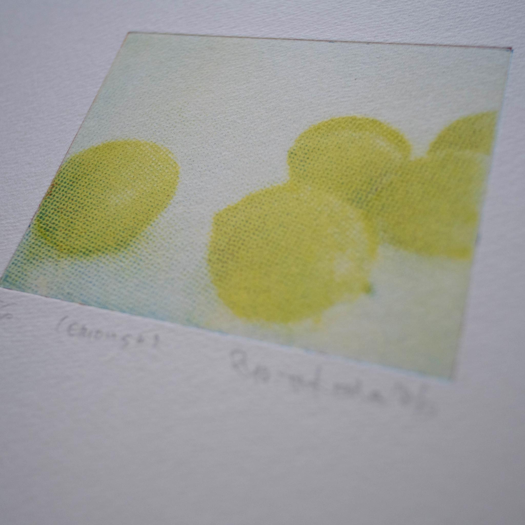 版画 "lemons #2"（額装） | 3枚目