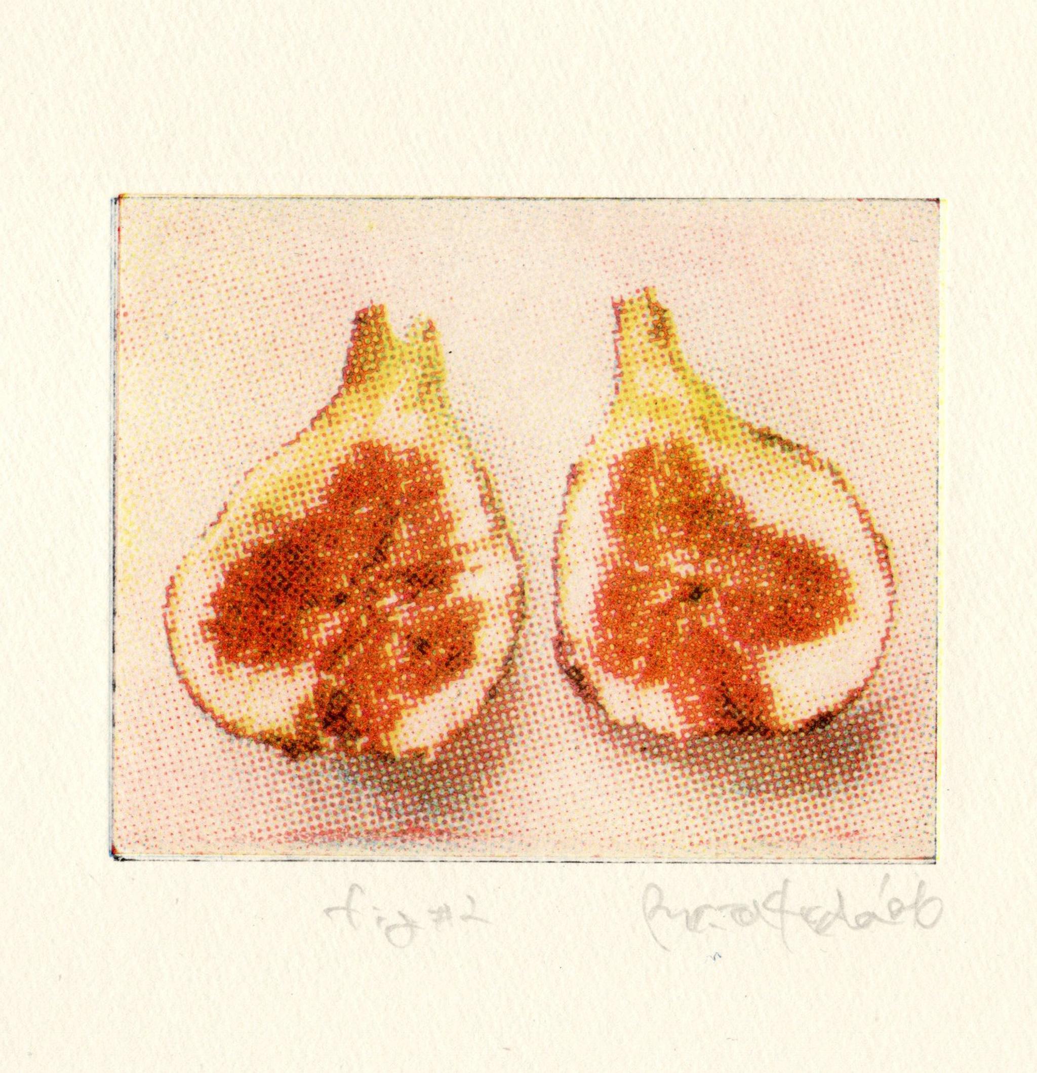 版画 "fig #2"（額装） | 2枚目