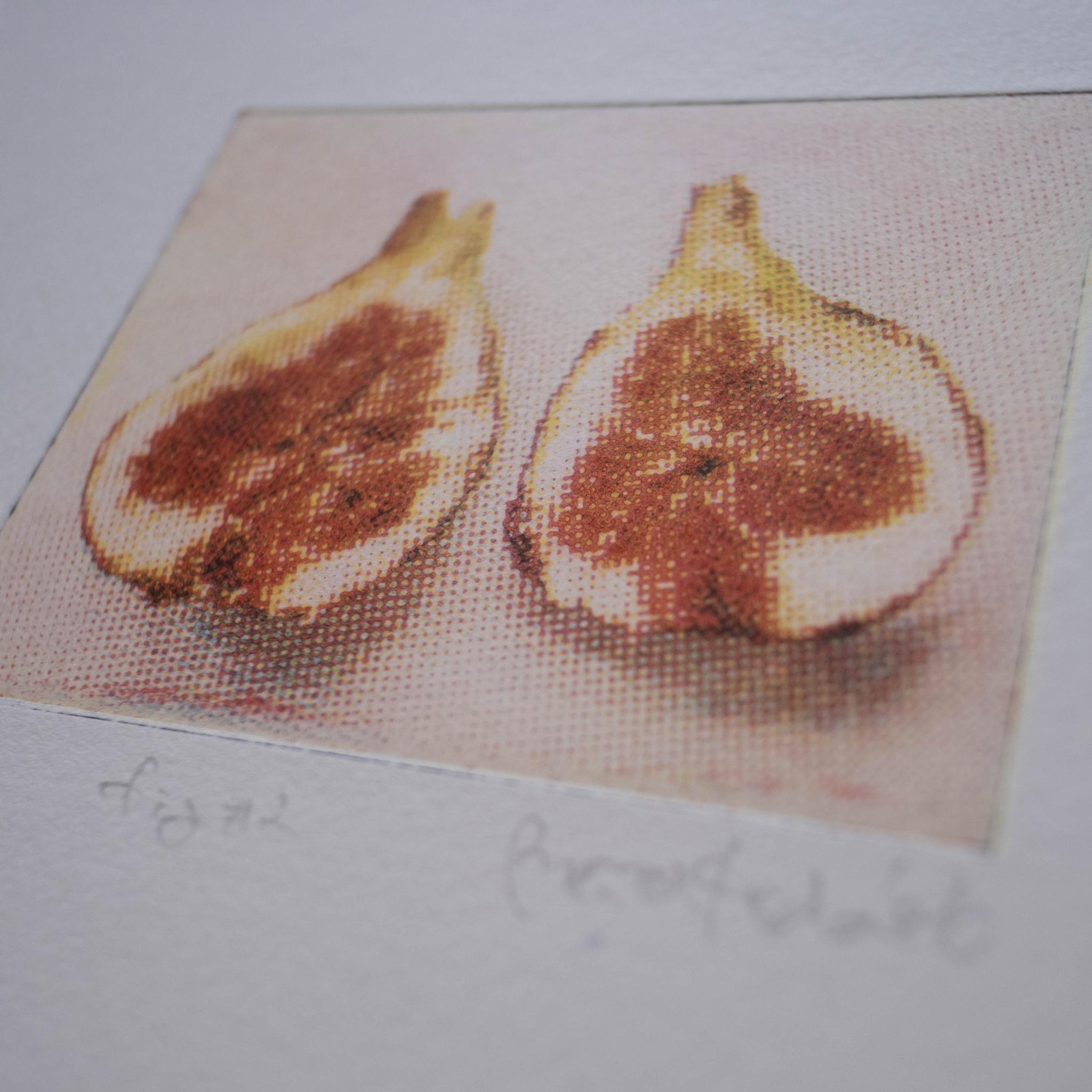 版画 "fig #2"（額装） | 4枚目
