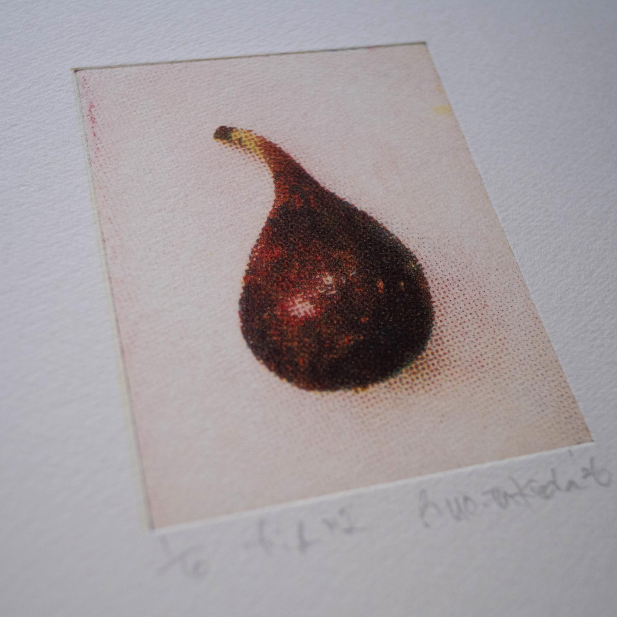 版画 "fig #1"(額装) | 3枚目